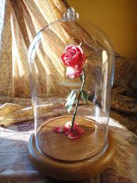 Beauty And The Beast Rose Enchanted Rose Beasts Rose Glass Dome Enchanted Rose Beauty And The Beast Disney Beauty And The Beast
