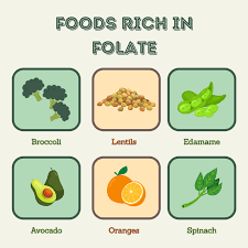 Image result for Folate Deficiency