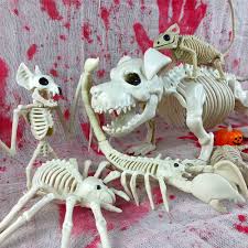 1200 x 1200 jpeg 113 кб. 100 Horror Animal Skeleton Halloween Decoration Props Bat Frog Dog Crow Bones House Party Decoration Party Diy Decorations Aliexpress