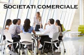 Decizie Asociat Unic Model Actiuni Si Contracte