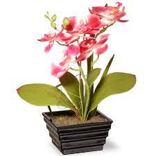 12 In Pink Orchid Flower Orchid Planters Orchid Flower Arrangements Hydrangea Flower
