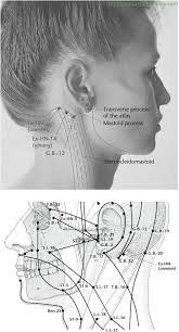 Ex Hn Peaceful Sleep Anmian Acupuncture Points Acupuncture Points Acupuncture Acupressure Treatment