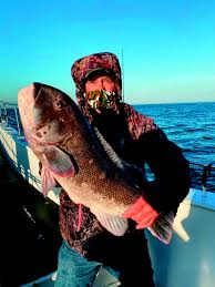 We did not find results for: First Fishinar Series Big Success Warwick Beacon