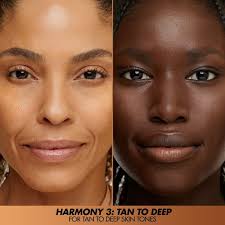 Amazon.com : HD Skin Face Essentials Palette with Highlighters