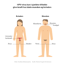 Gratis Hpv Vaccine Til Drenge Er Ogsa Godt For Pigerne Indland Dr