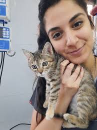 Hi everyone! I will be a visiting researcher at Yale from February 1st  until April 30th 2025 and I am looking for an apartment to rent. My budget  is $1000 per month.