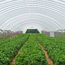 Jun 22, 2021 · studiu deloitte: Locuri De Munca Danemarca