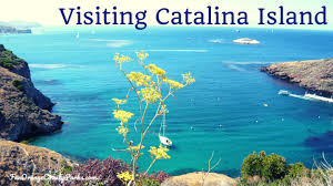 Catalina island descanso beach club webcam. Visiting Catalina Island A Brief Tutorial On The Basics