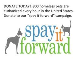 Animal health foundation the mary edna boydston fund must be 65 or over, or permanently disabled. Spay Neuter Peppermint Pig Animal Rescue
