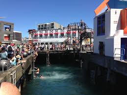 you re not a new zealand teenager if you haven t jumped off a wharf taranaki wharf wellington new zealand hot pools heli skiing new zealand