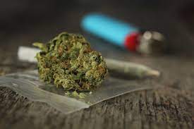 How Long Does Marijuana Stay In Your System Marijuana Addiction