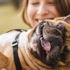 TOP 10 BEST Pet Training near Anna, TX 75409