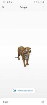 Google 3d List Of Animals Animals Lions