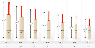 We did not find results for: English Willow Cricket Bats By Nhd Life Sciences English Willow Cricket Bats Id 1532675