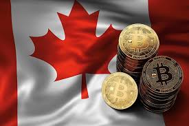 Canada it is legal to trade cryptos in canada, but some banks have banned the digital currency. 5 Best Brokers To Buy Bitcoin In Canada 2021 Securities Io