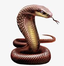 S Serpientes Hidra Veneno S Png Imagen Para Descarga Gratuita Pngtree Cobra Snake Snake Diamond Painting