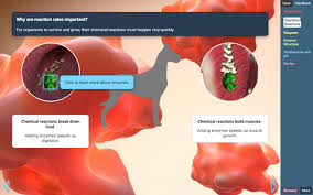 Digestive system answer key helpteaching com. Enzymes Stem Case Lesson Info Explorelearning