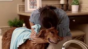 How often should i bathe my puppy. How Often Should You Bathe Your Dog Plus 8 Bathing Tips Caninejournal Com