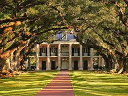 You drive up a beautiful path with sugar canes growing. The Storied History Of Oak Alley Plantation Storied Hotels