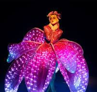 LED Costumes for Big Stages for shows, events, parties ...