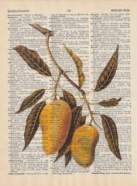 Botanical Fruits Vintage Botanical Prints Vintage Prints Vintage Painting