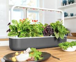 How to start your own indoor garden. Smart Garden Emsa