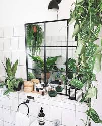 The Most Beautiful Indoor Plants Perfect For Apartments No Green Thumb Required These Low Maintenance P In 2020 Hanging Plants Indoor Hanging Plants Bathroom Plants