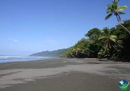 27 vacation rentals and hotels available now. Dominical Surf Und Reisefuhrer Es Gibt So Viele Dinge Zu Tun