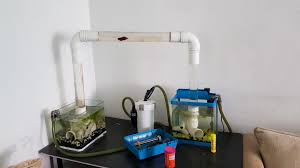 One of the special characteristics of betta fish is how easily they can be irritated if put in the same tank with other fish. 2 Betta Fish Tank 1 Filter And Aquarium Bridge Pet Supplies For Fish Fish Tanks On Carousell