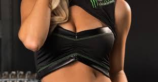 Get to know nascar's new monster energy girls | diecast. Haley C