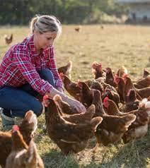 I november, december 2020 och januari 2021 isolerades h5n8 på en. 0iuj Ytxescu4m