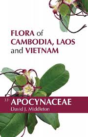 Image result for Apocynaceae subfamilies Apocynoideae and Rauvolfioideae