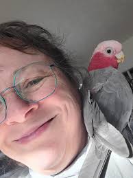 Profili për Northeast Tennessee Avian Rescue and Rehabilitation