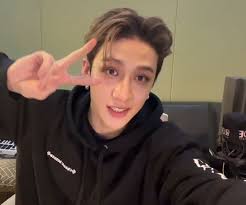 BTS fans fighting over favorite members