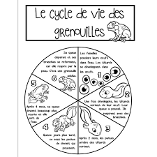 Pin On Lapbook