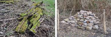 # vimeo.com/140653553 uploaded 5 years ago 122 views 0 likes 0 comments. Bund Lemgo Homepage