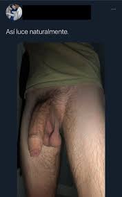 Luca @lucasx66 - Twitter Profile | Instalker