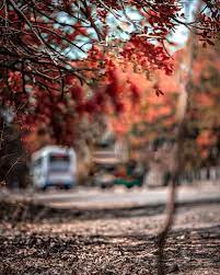 Picsart Hd Photo Background Editor 1080x1350 Download Hd Wallpaper Wallpapertip So for modify old images in the new one you can install picsart photo editing in your android also can take the advantages of this application.