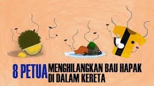 Cara menghilangkan tahi lalat mati di bibir dan pipi. Serv Tips 8 Petua Menghilangkan Bau Hapak Dalam Kereta Youtube