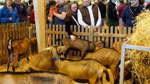 Maybe you would like to learn more about one of these? Pourquoi Le Salon International De L Agriculture Est Il Incontournable