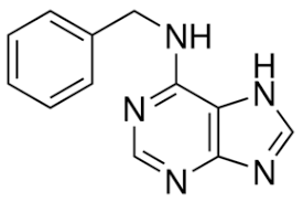 Plant culture media growing plant tissue in the laboratory may include seed, meristem, callus, and bud culture, and requires specialized plant culture media. 6 Benzylaminopurine Suitable For Plant Cell Culture 1214 39 7