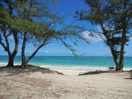 The Beach At Bellows Afb On Oahu We Always Parked By The Trees On The Beach Vacation Spots Scenery Favorite Places