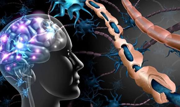 A Revolutionary Scratch-and-Sniff Test Could Transform Early Brain Disease Detection