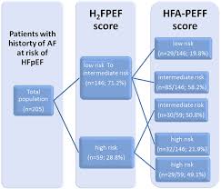 Image result for H2FPEF Score