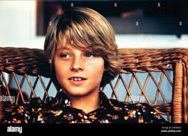 Echoes of a summer hi-res stock photography and images