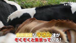 動画テロップ 字幕 の文字数は 1秒あたり何文字 以内 付け方のポイントとは Yugoの不思議な音楽の国