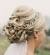 Elegant Wedding Hair Updo With Veil
