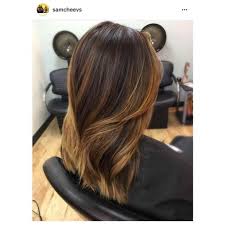 Hairstyles Chestnut Brown Hair Color Chart Chestnut Brown