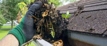 How to safely and quickly clean gutters and eavestroughs. What To Look For In A Gutter Cleaning Service Leaffilter Ca