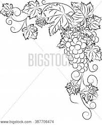 Select from 32081 printable crafts of cartoons, nature, animals, bible and many more. Contour Black White Vector Photo Free Trial Bigstock